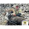 Hunter posing with a harvested bighorn sheep with curved horns against a rocky backdrop, with a scoped rifle visible in the foreground.