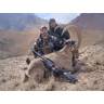 Two hunters posing with a harvested argali sheep with large curved horns in a mountainous valley landscape.