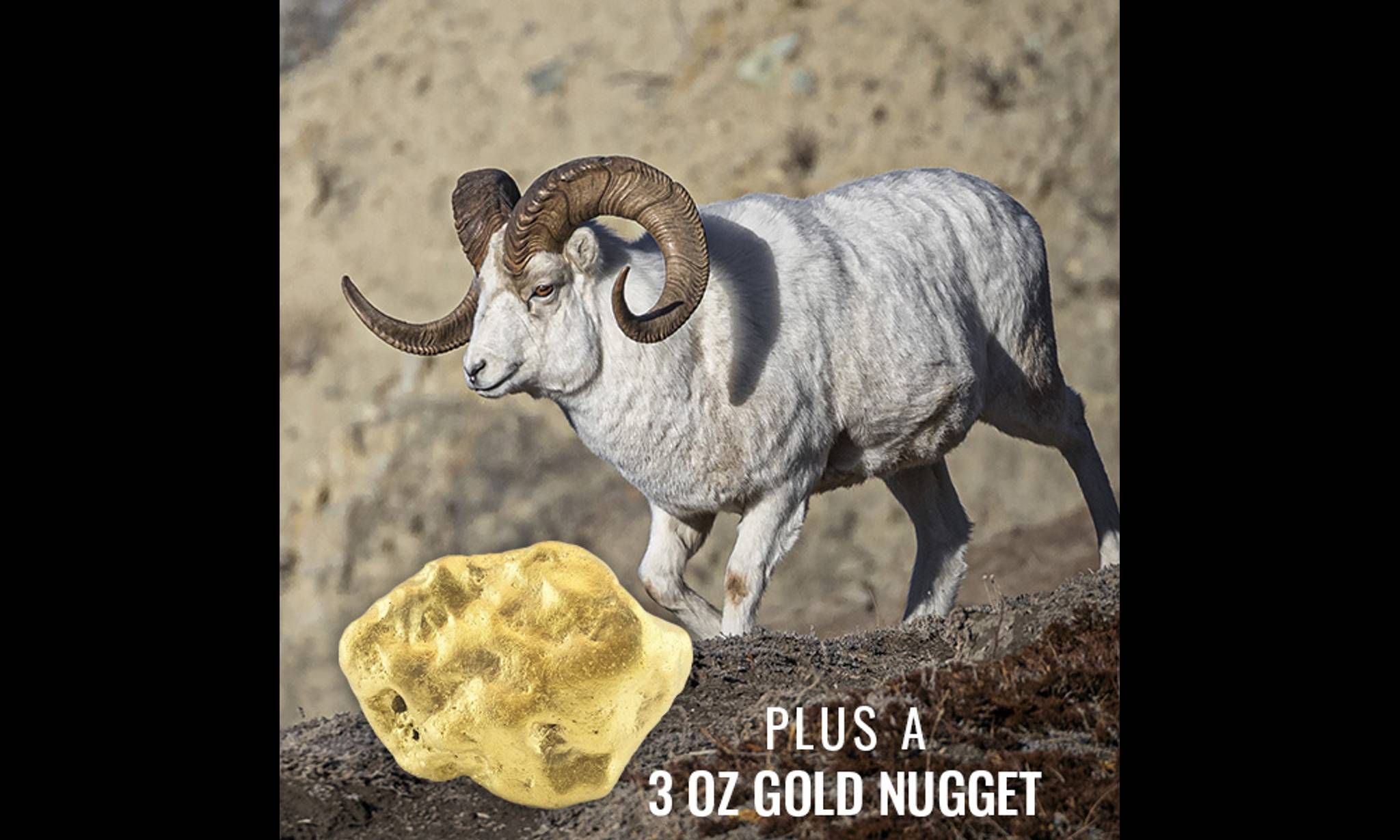 GOLDEN TICKET!  event banner