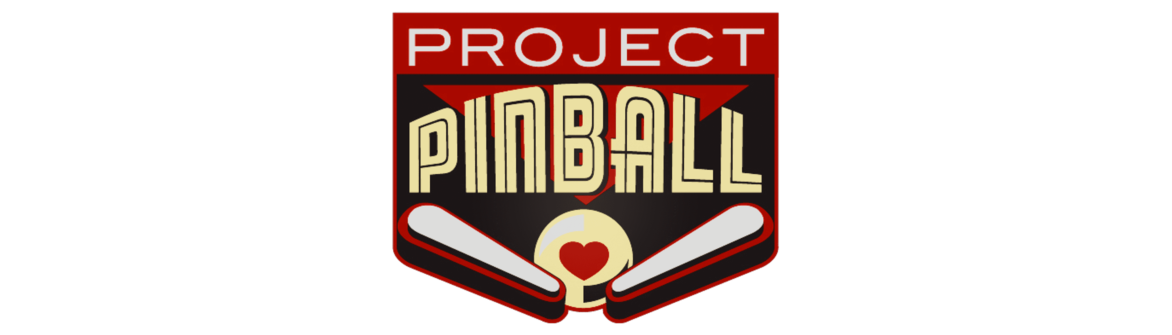 Project Pinball 50/50 Raffle logo image