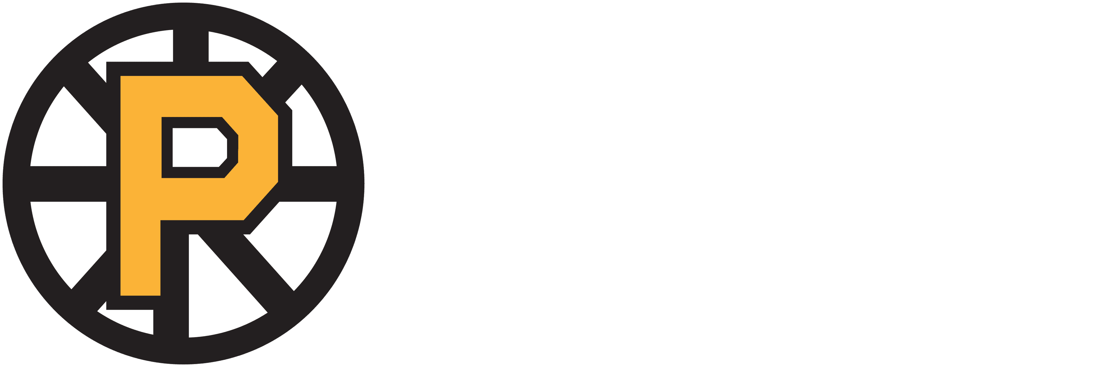 Providence Bruins logo