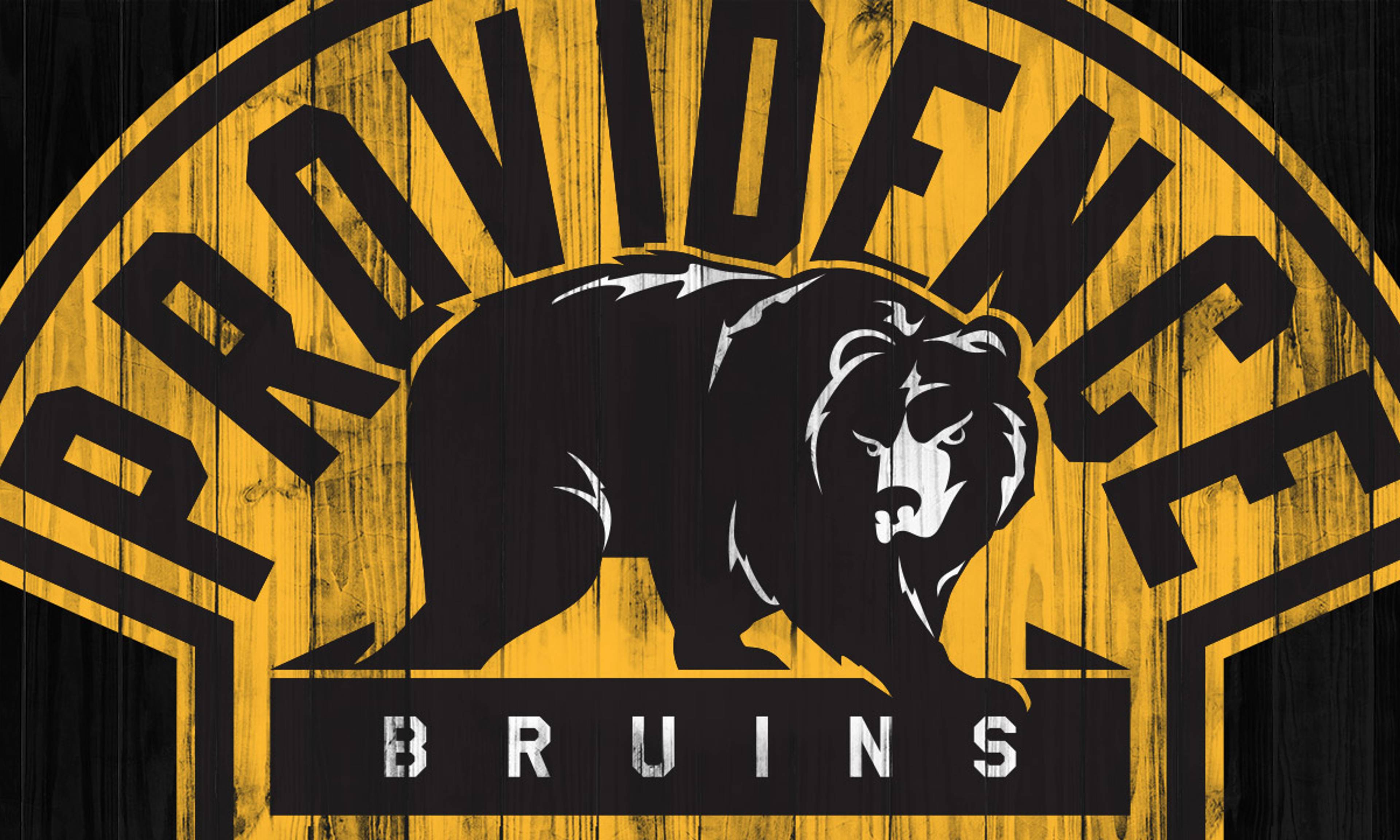 Providence Bruins Past Events Epic Events in Minutes