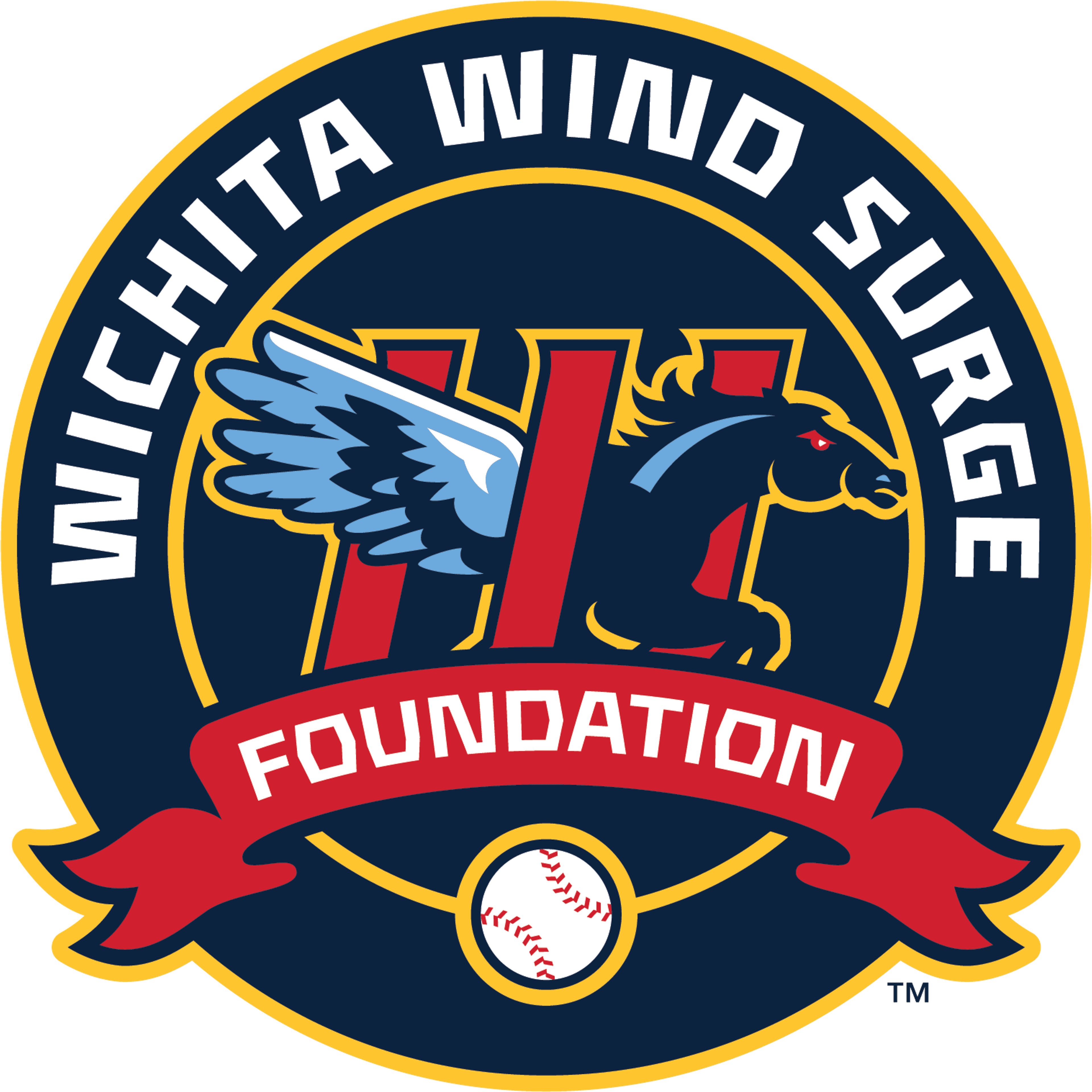 Wichita Wind Surge Independence Day Jersey Auction logo image