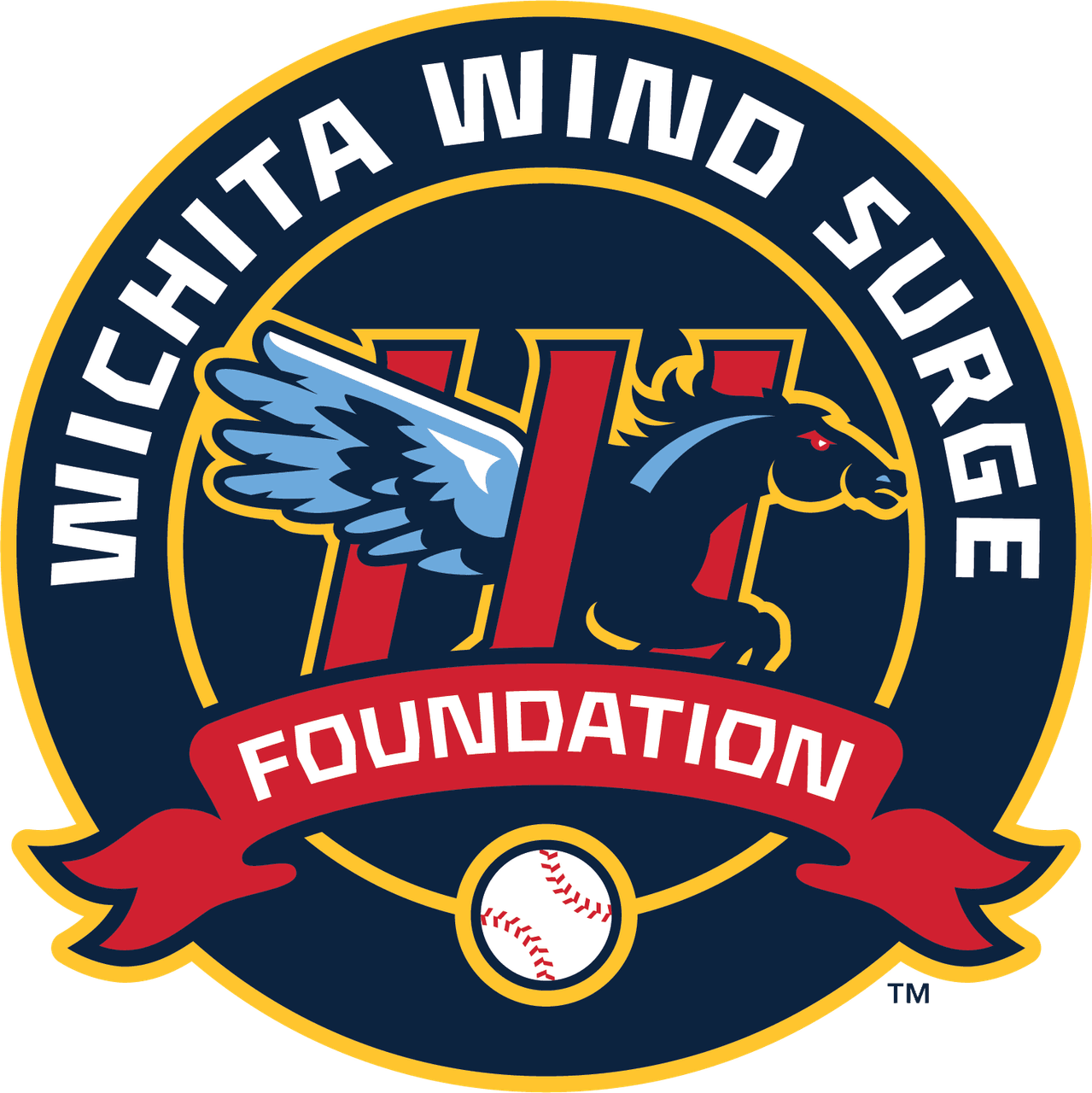 Wind Surge Foundation - Live & Upcoming Events - Fanthem