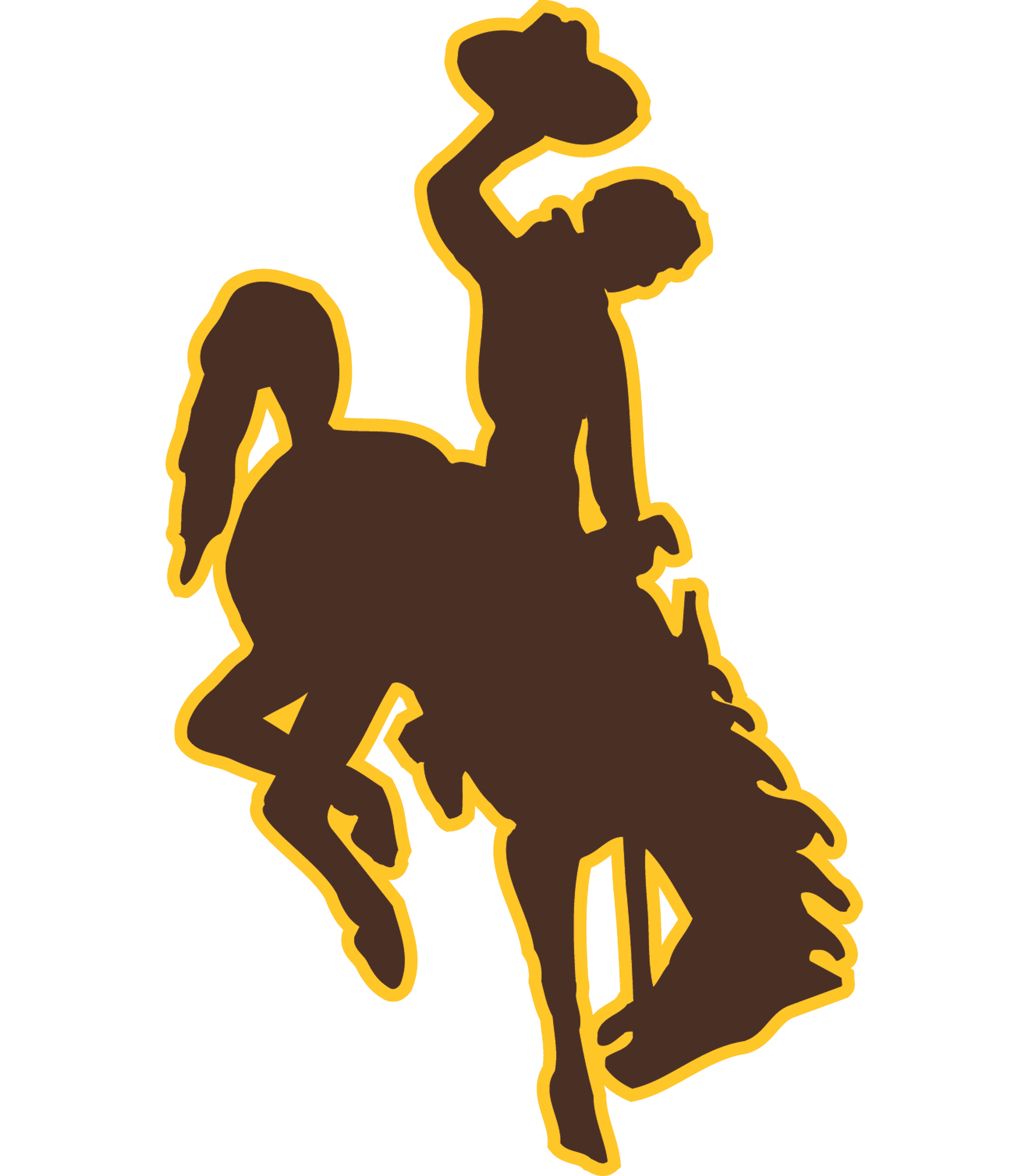 Wyoming 50/50 logo image